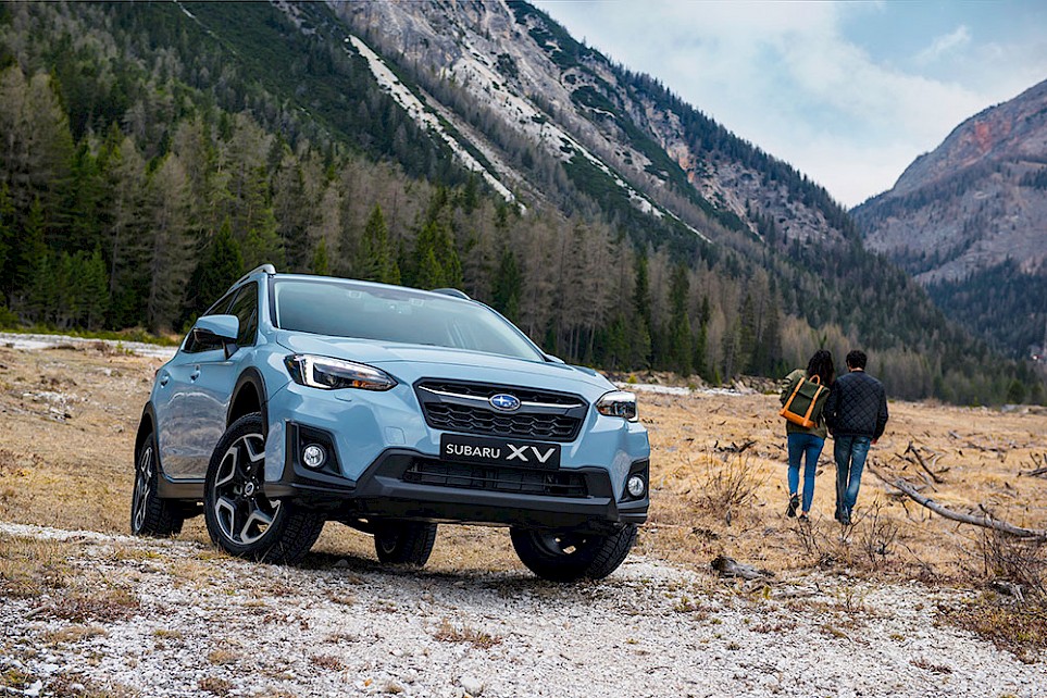 XV